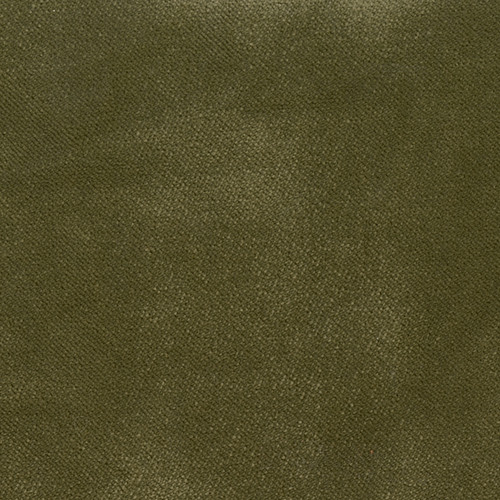 Fabric Swatch (Olive)